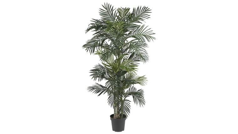 6.5′ Golden Cane Artificial Palm Tree | Rental