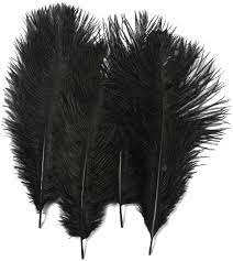 12″ – 14″ Black Ostrich Feather | Rental